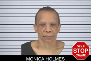 Monica Holmes mugshot
