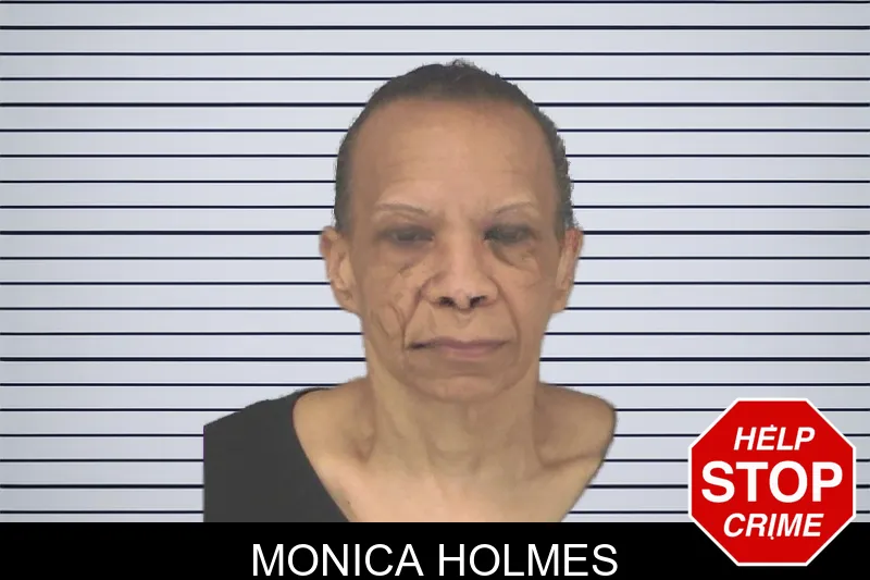 Monica Holmes mugshot