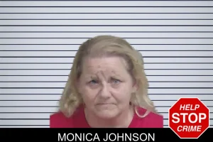 Monica Johnson mugshot