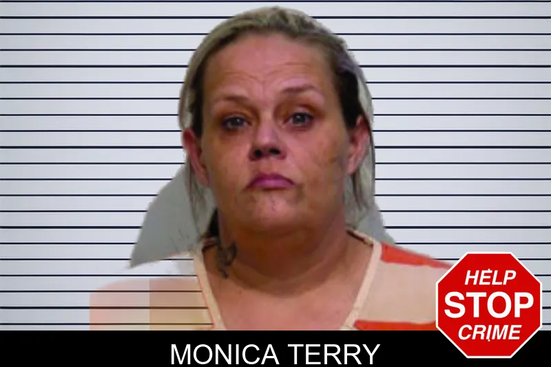 Monica Terry mugshot – Bartow County , Georgia Monica Terry mugshot
