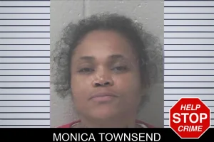 Monica Townsend mugshot