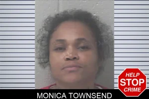 Monica Townsend mugshot