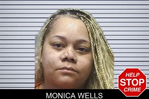 Monica Wells mugshot
