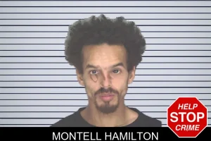 Montell Hamilton mugshot