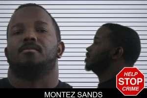 Montez Sands mugshot