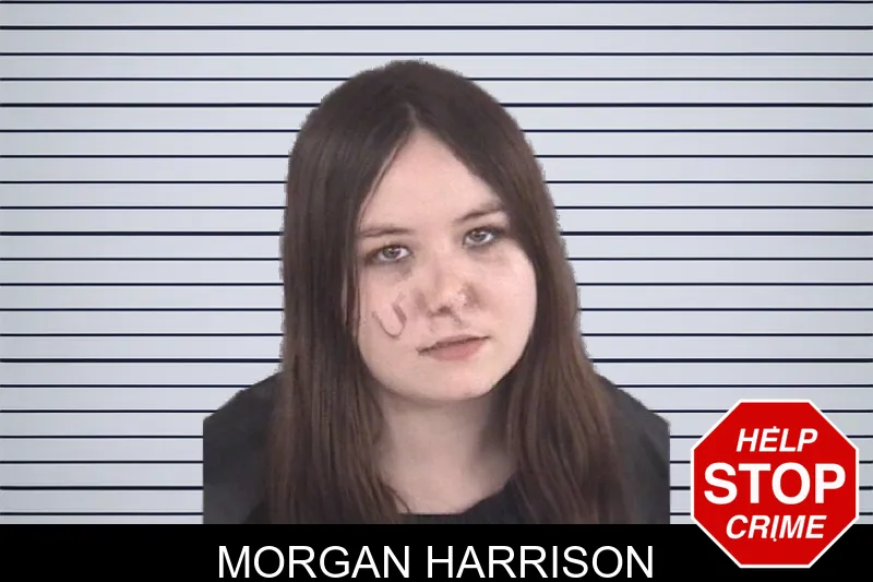 Morgan Harrison mugshot
