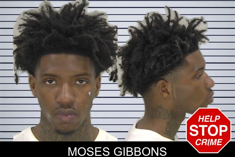 Moses Gibbons mugshot