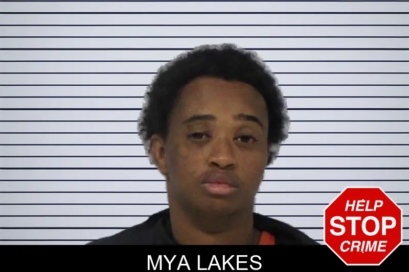Mya Lakes mugshot