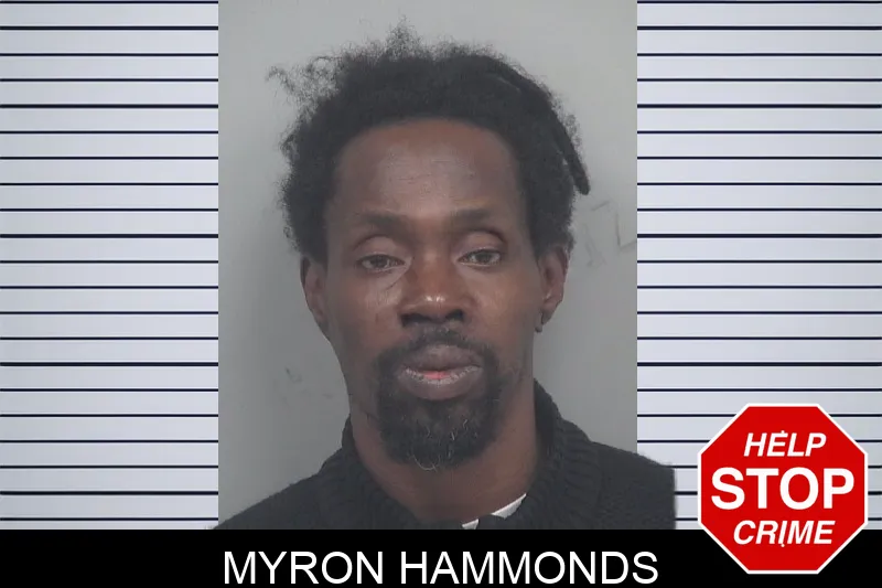Myron Hammonds mugshot – Gwinnett County , Georgia Myron Hammonds mugshot