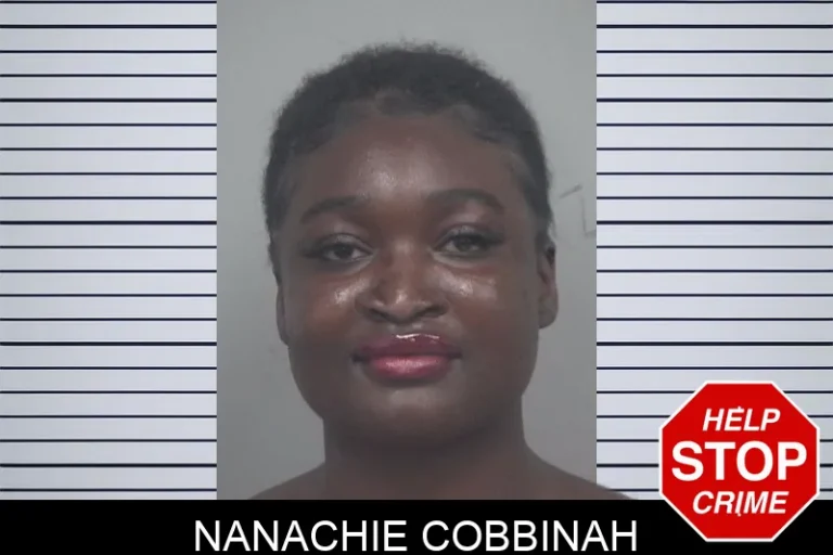 Nanachie Cobbinah mugshot – Gwinnett County , Georgia Nanachie Cobbinah