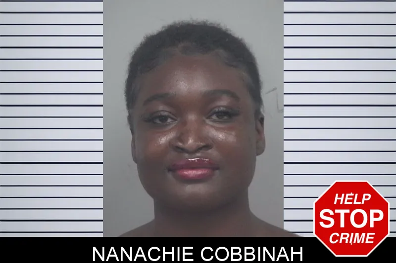 Nanachie Cobbinah mugshot – Gwinnett County , Georgia Nanachie Cobbinah mugshot