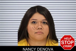 Nancy Denova mugshot