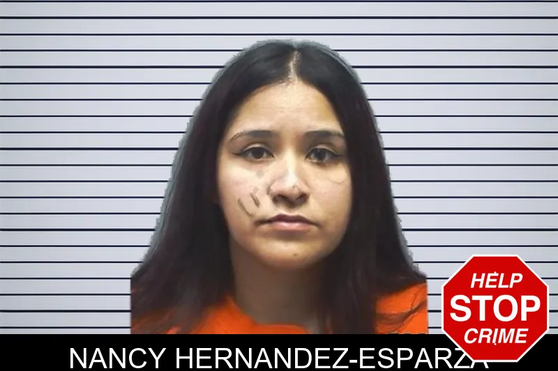 Nancy Hernandez-Esparza mugshot – Cherokee County , Georgia Nancy Hernandez-Esparza mugshot