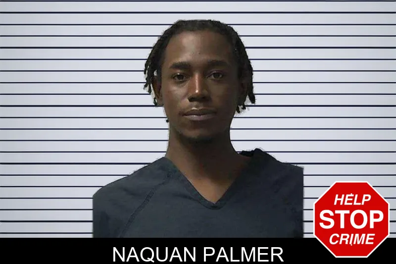Naquan Palmer mugshot – Gilmer County , Georgia Naquan Palmer mugshot