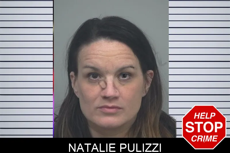 Natalie Pulizzi mugshot