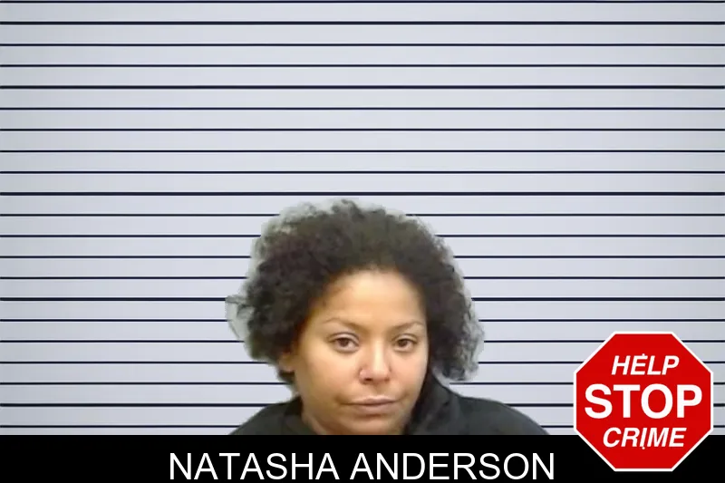 Natasha Anderson mugshot