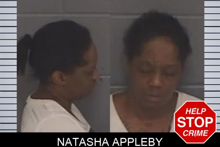 Natasha Appleby mugshot – Barrow County , Georgia Natasha Appleby
