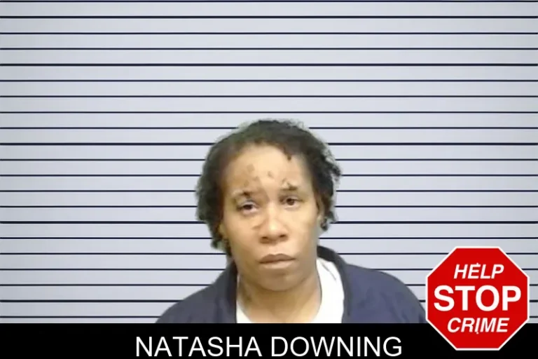 Natasha Downing mugshot – Fulton County , Georgia Natasha Downing