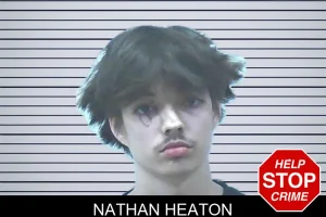 Nathan Heaton mugshot