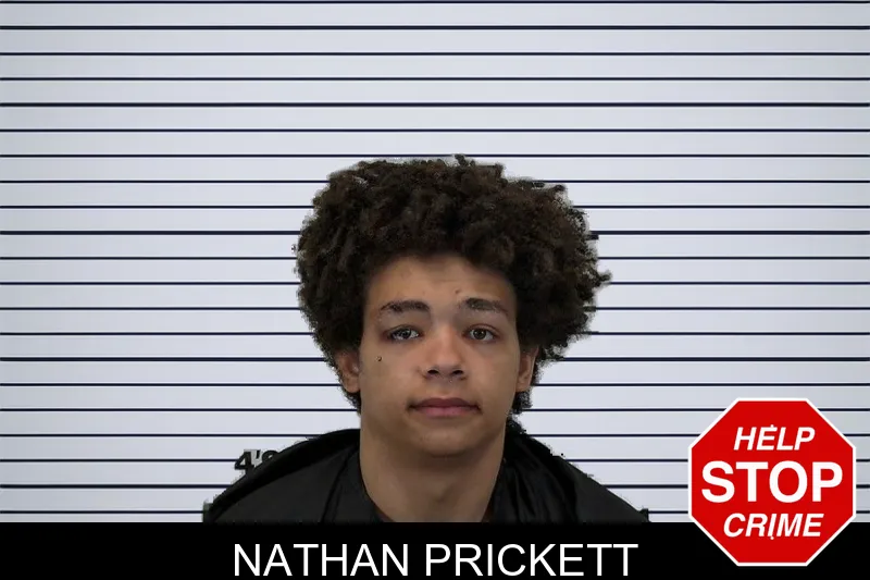 Nathan Prickett mugshot