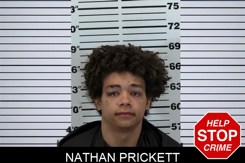 Nathan Prickett mugshot – Hart County , Georgia Nathan Prickett mugshot