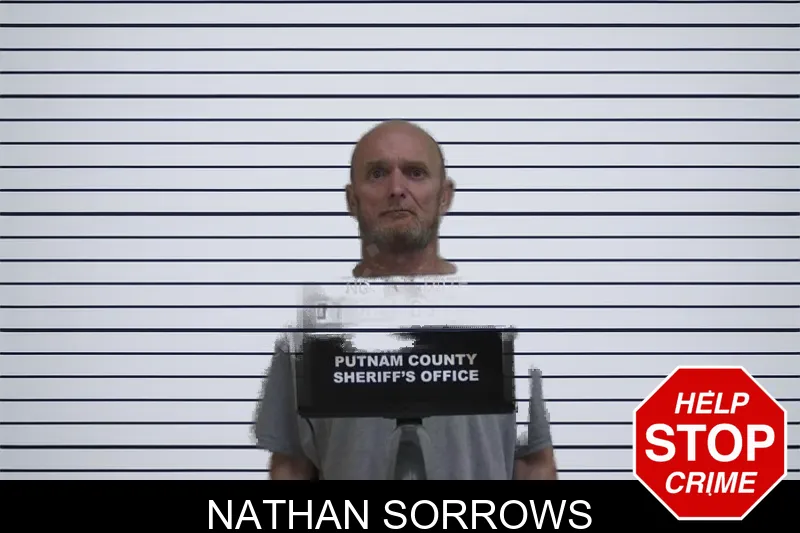 Nathan Sorrows mugshot