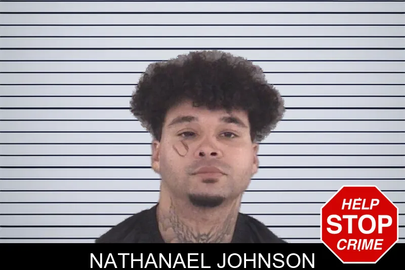 Nathanael Johnson mugshot
