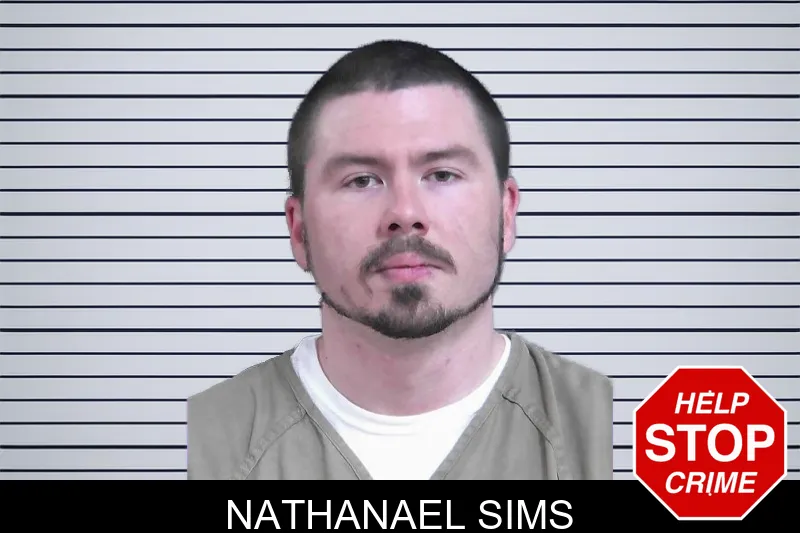Nathanael Sims mugshot
