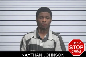 Naythan Johnson mugshot