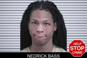 Nedrick Bass mugshot