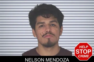 Nelson Mendoza mugshot