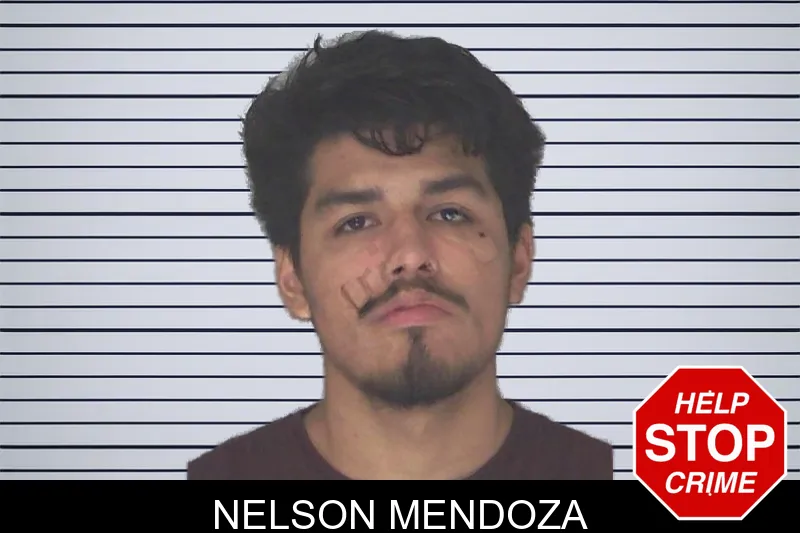 Nelson Mendoza mugshot