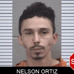 Nelson Ortiz mugshot