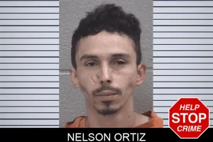 Nelson Ortiz mugshot