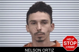 Nelson Ortiz mugshot