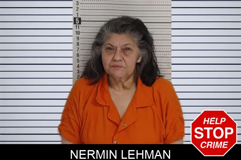 Nermin Lehman mugshot