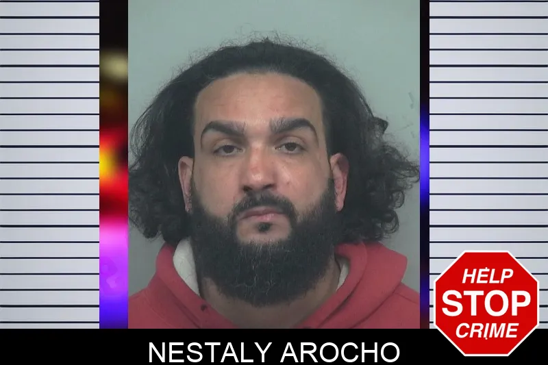 Nestaly Arocho mugshot