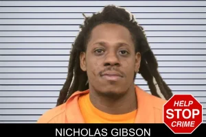 Nicholas Gibson mugshot