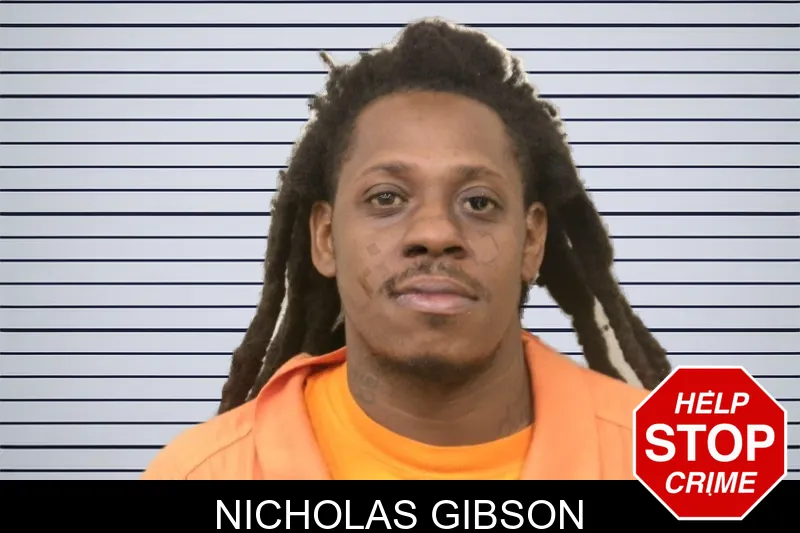 Nicholas Gibson mugshot