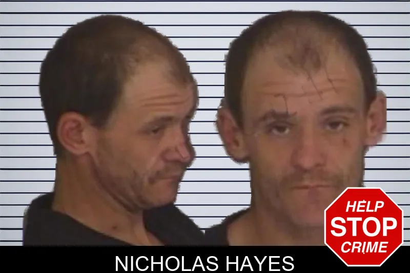 Nicholas Hayes mugshot