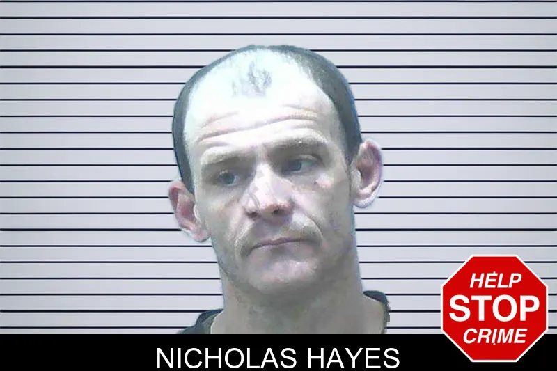 Nicholas Hayes mugshot