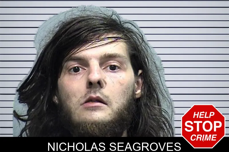 Nicholas Seagroves mugshot – Effingham County , Georgia Nicholas Seagroves mugshot
