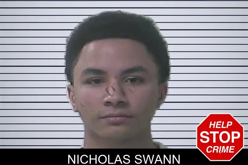 Nicholas Swann mugshot