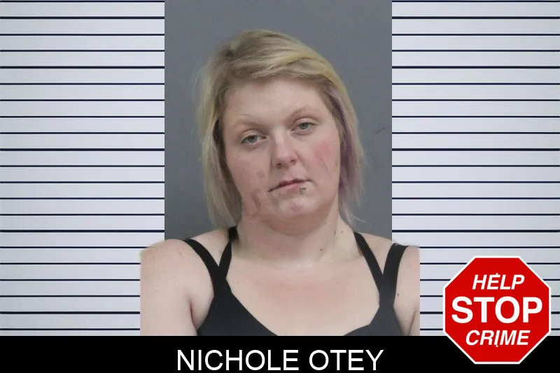 Nichole Otey mugshot – Catoosa County , Georgia Nichole Otey mugshot