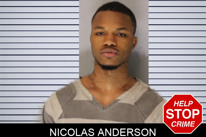 Nicolas Anderson mugshot