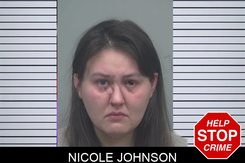 Nicole Johnson mugshot – Gwinnett County , Georgia Nicole Johnson mugshot