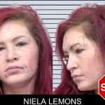 Niela Lemons mugshot