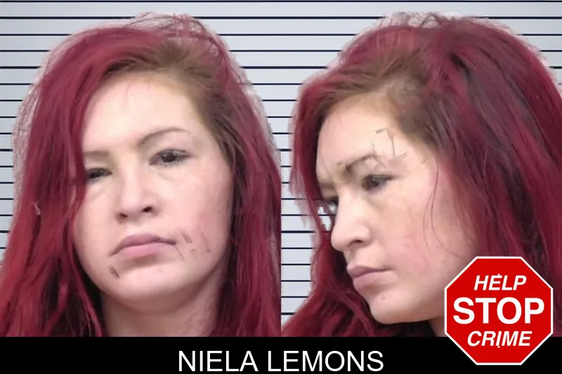Niela Lemons mugshot
