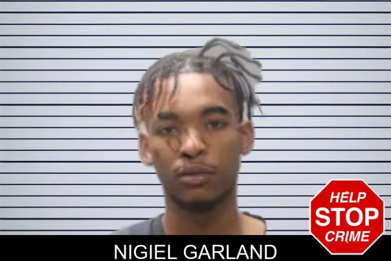 Nigiel Garland