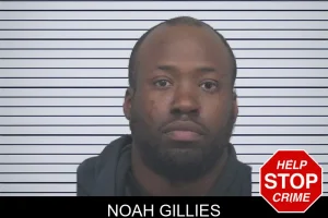 Noah Gillies mugshot